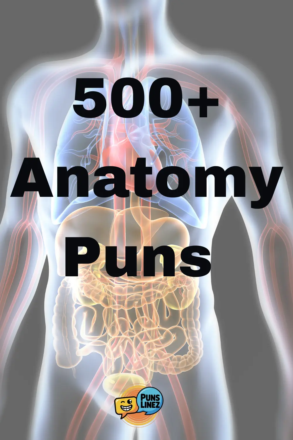 anatomy-puns