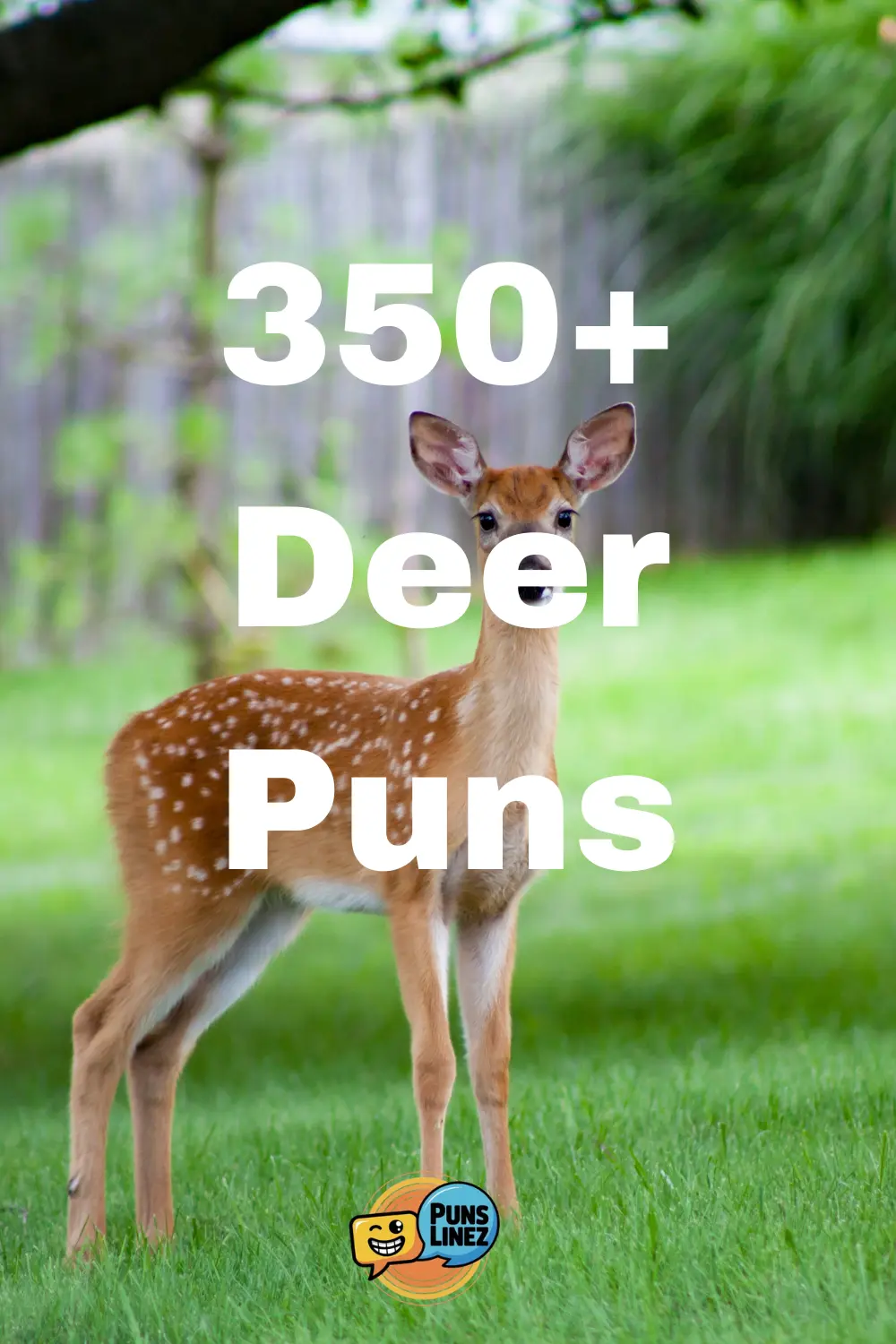 deer-puns