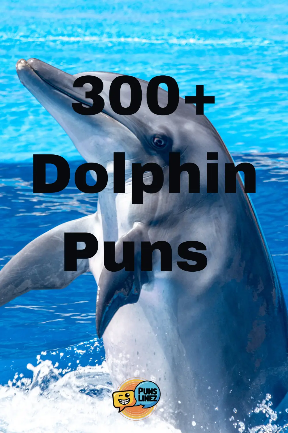 dolphin-puns
