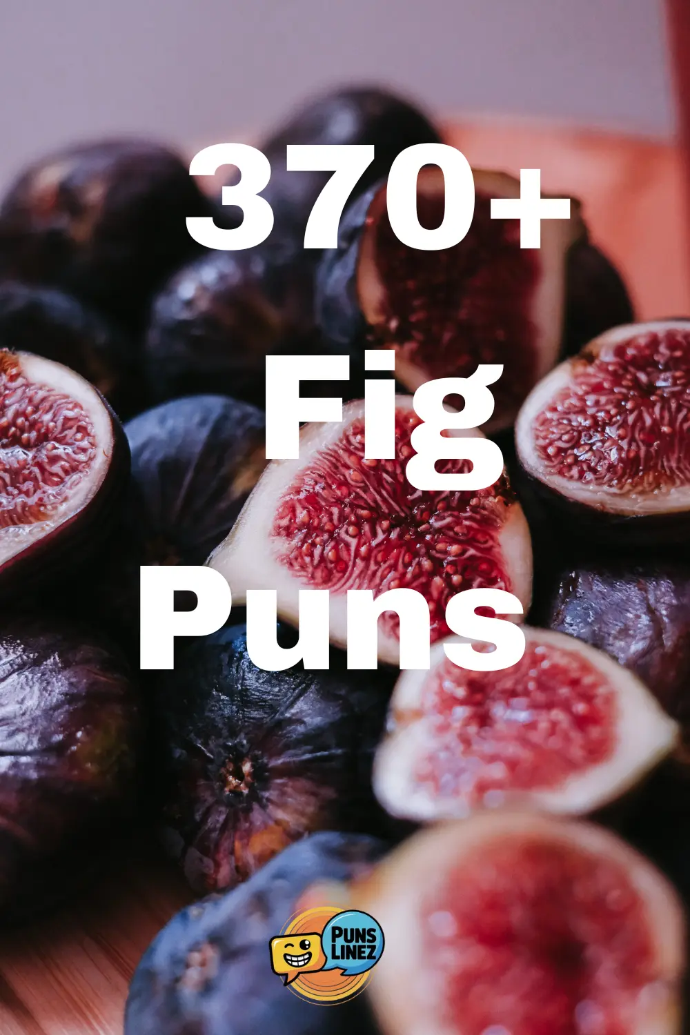 fig-puns