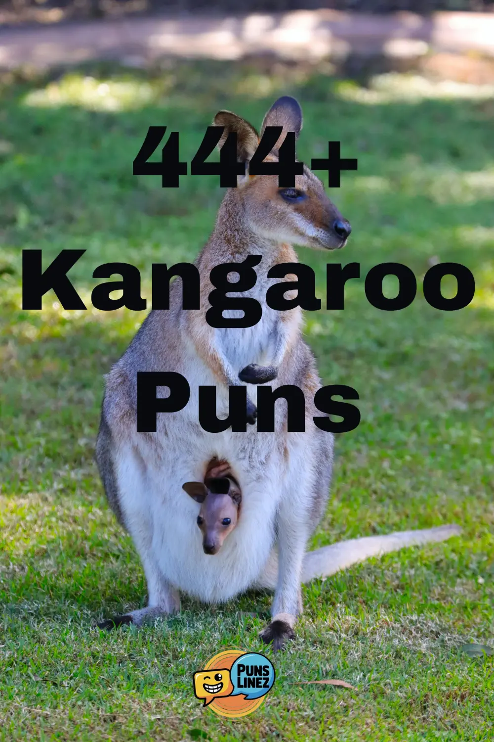 kangaroo-puns