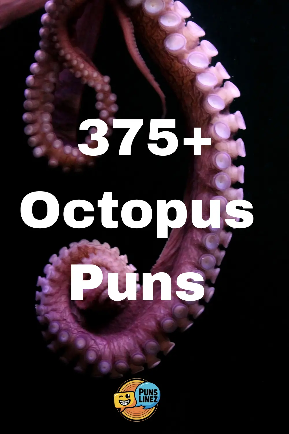 octopus-puns