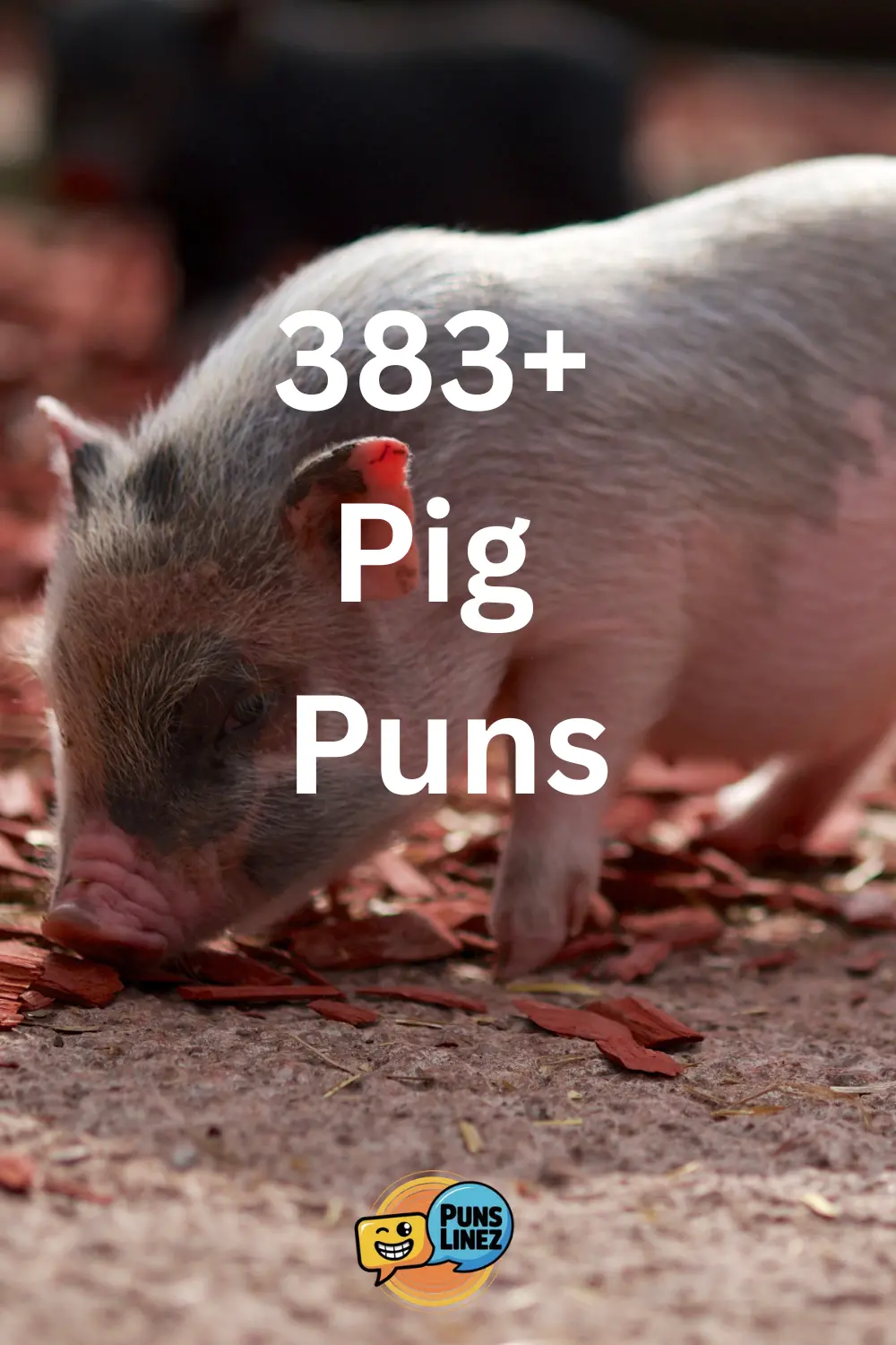 pig-puns