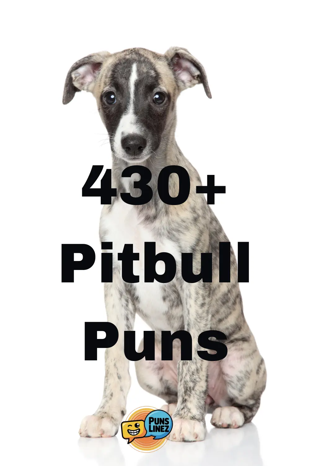 pitbull-puns