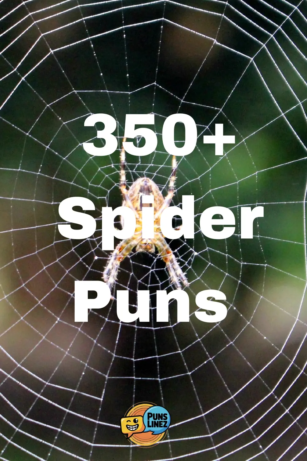 spider-puns