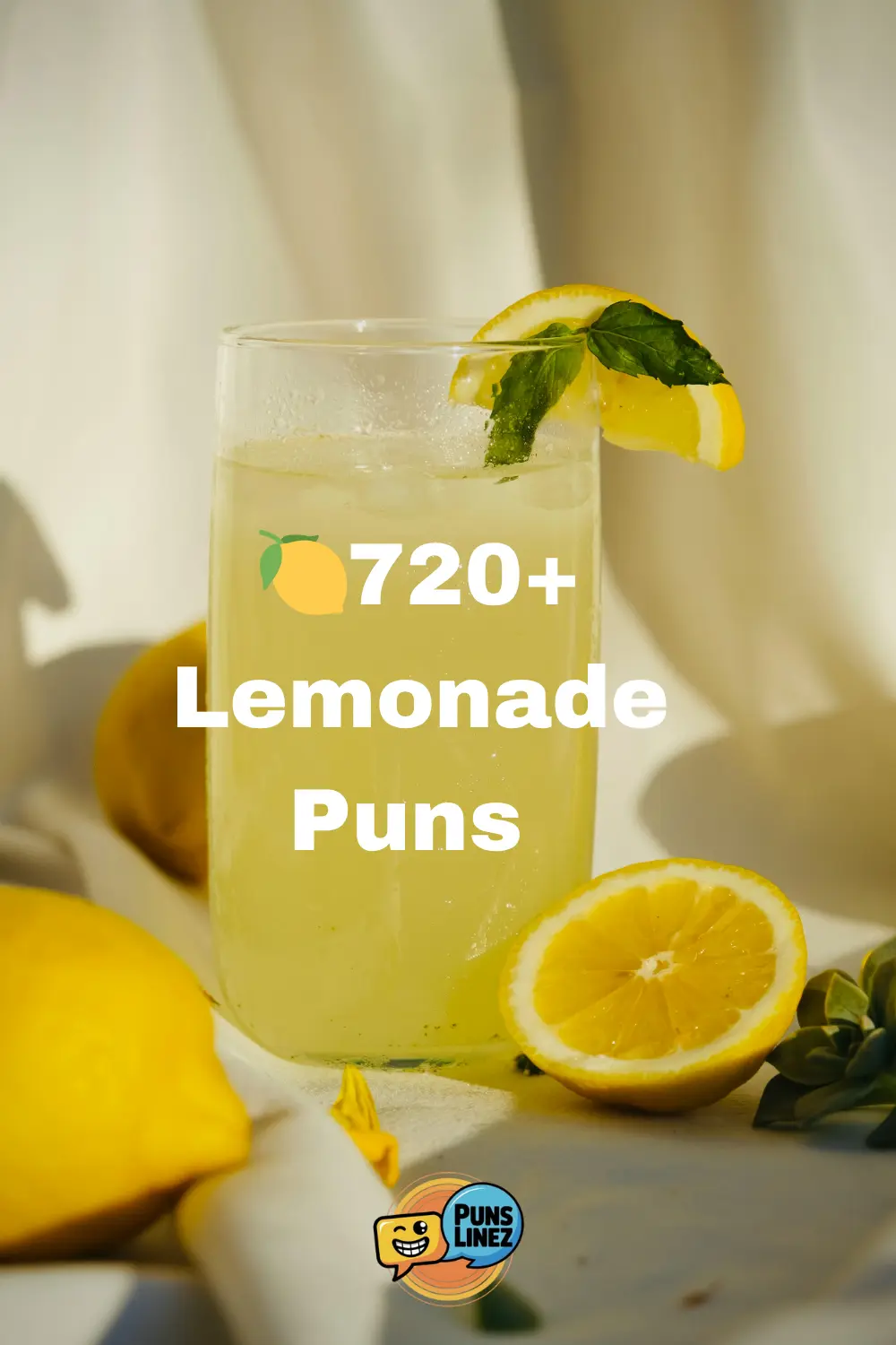 Lemonade Puns