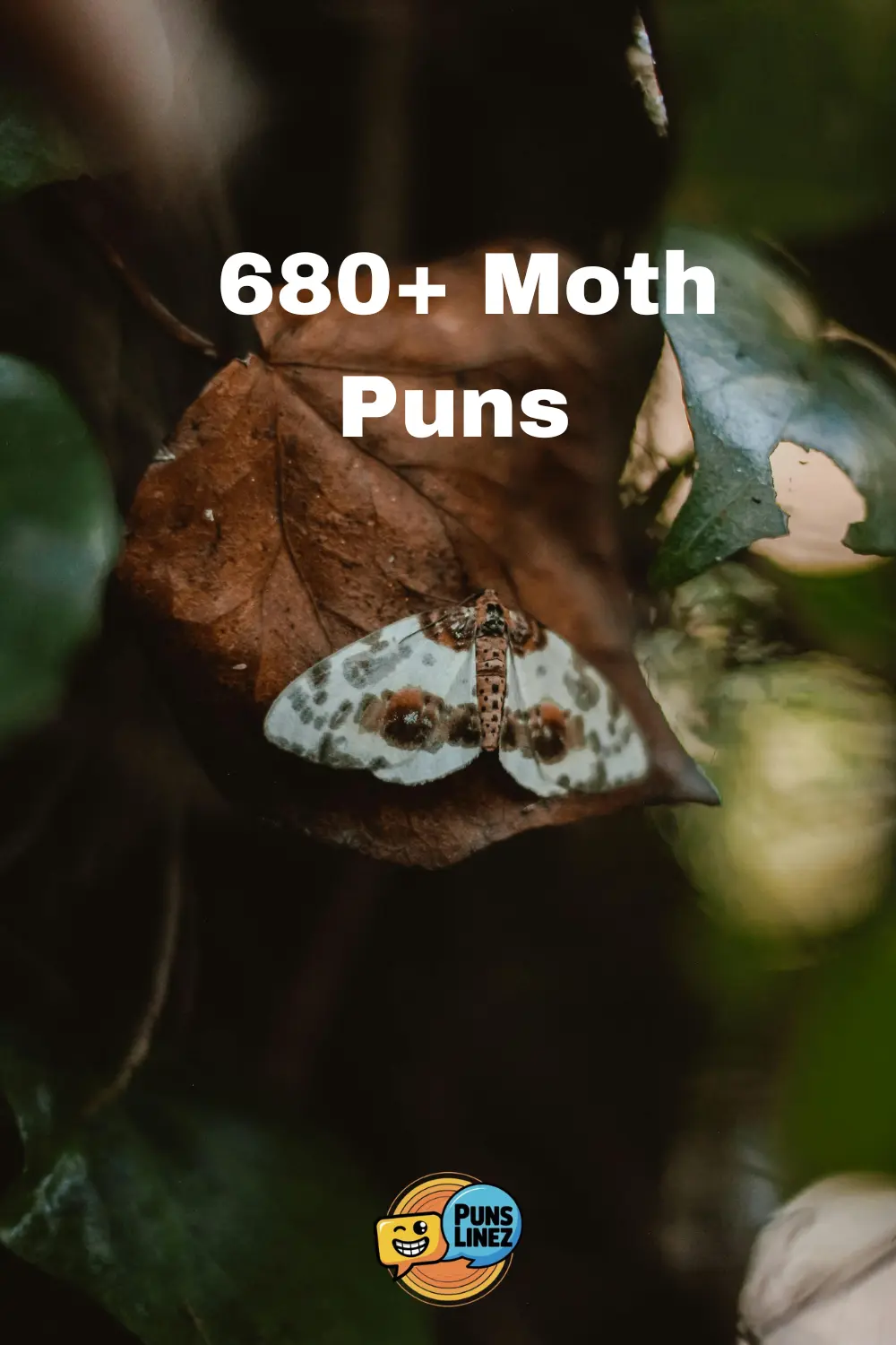 Moth Puns