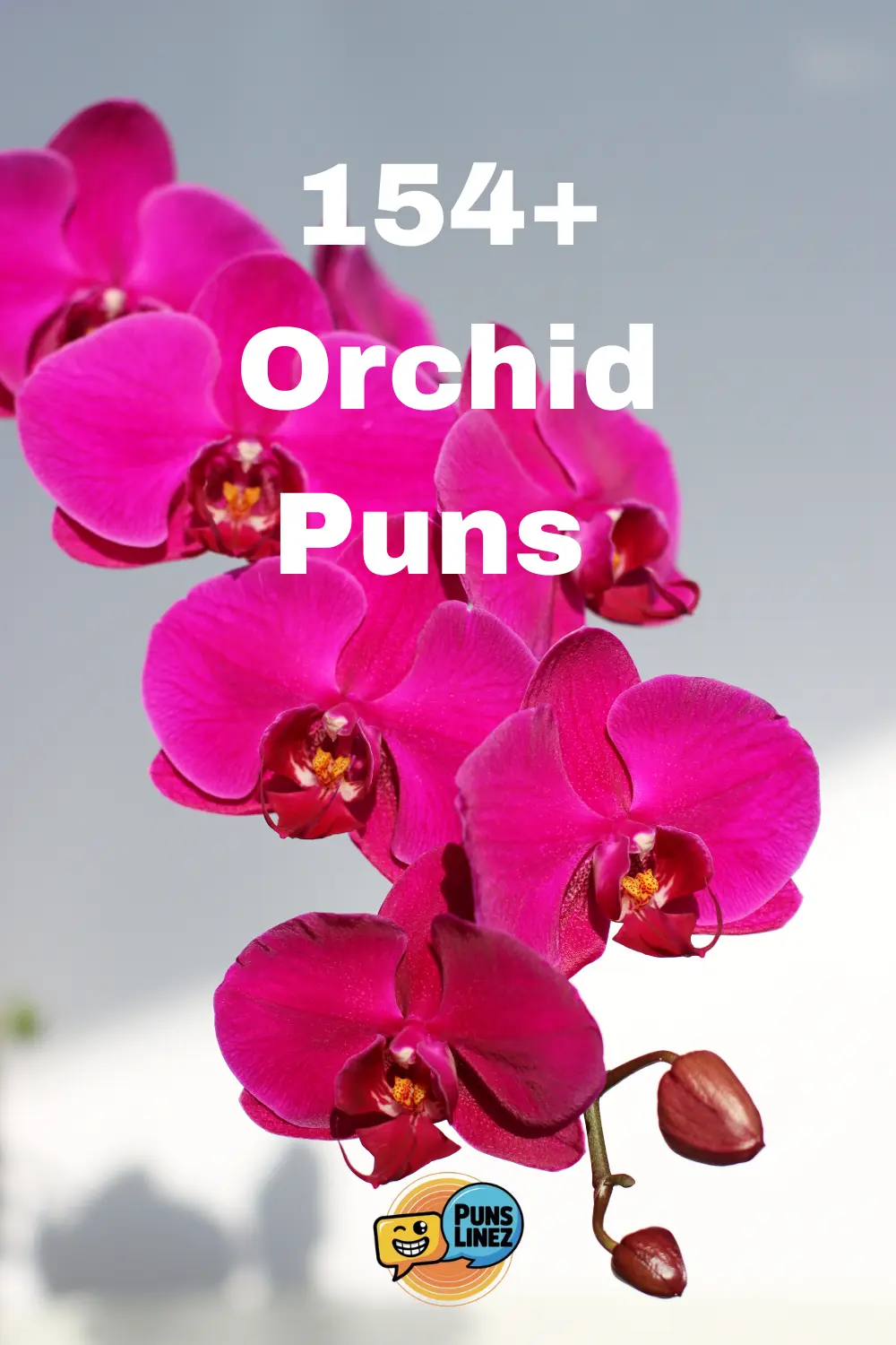Orchid Puns