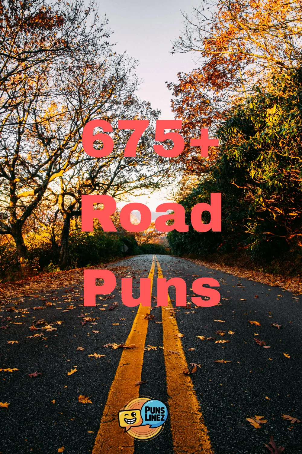 675+ Road Puns