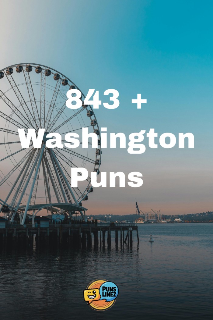 Washington-Puns