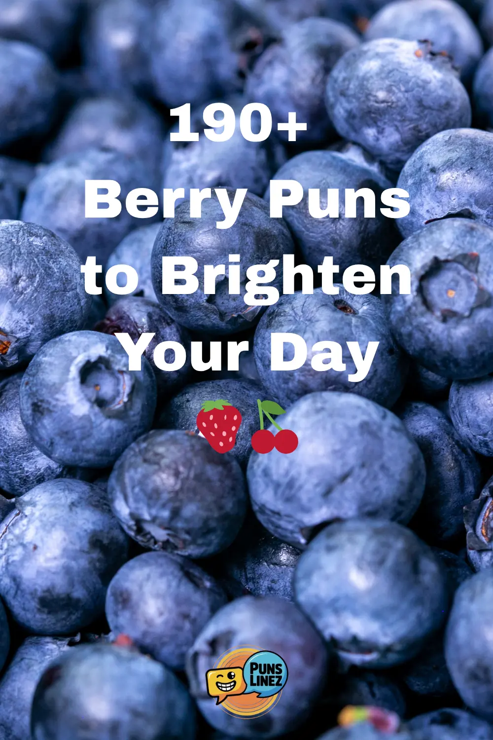Berry Puns