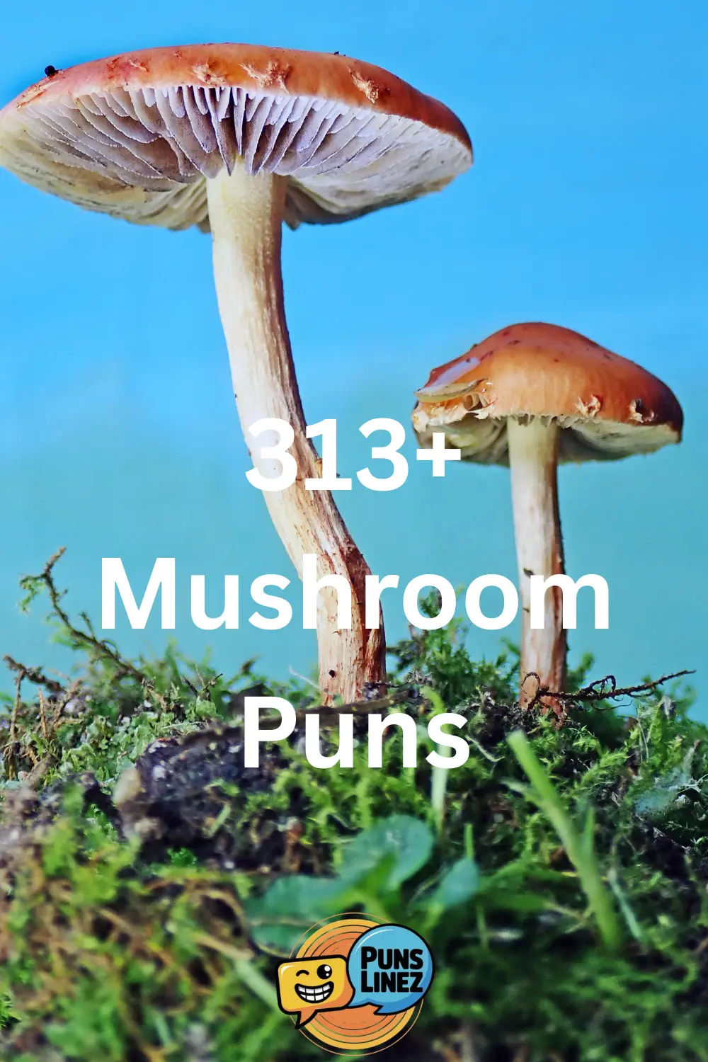 Mushroom Puns