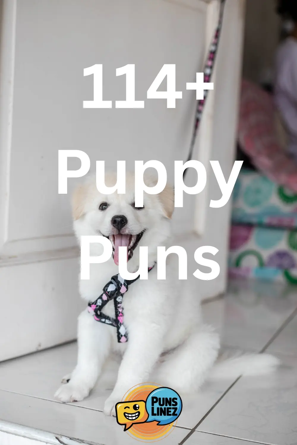 Puppy Puns