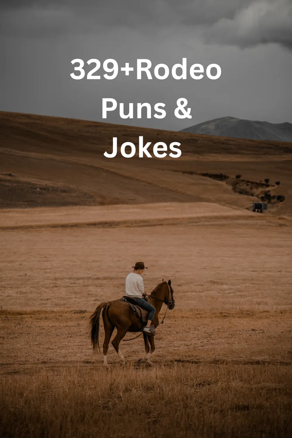 Rodeo Puns & Jokes